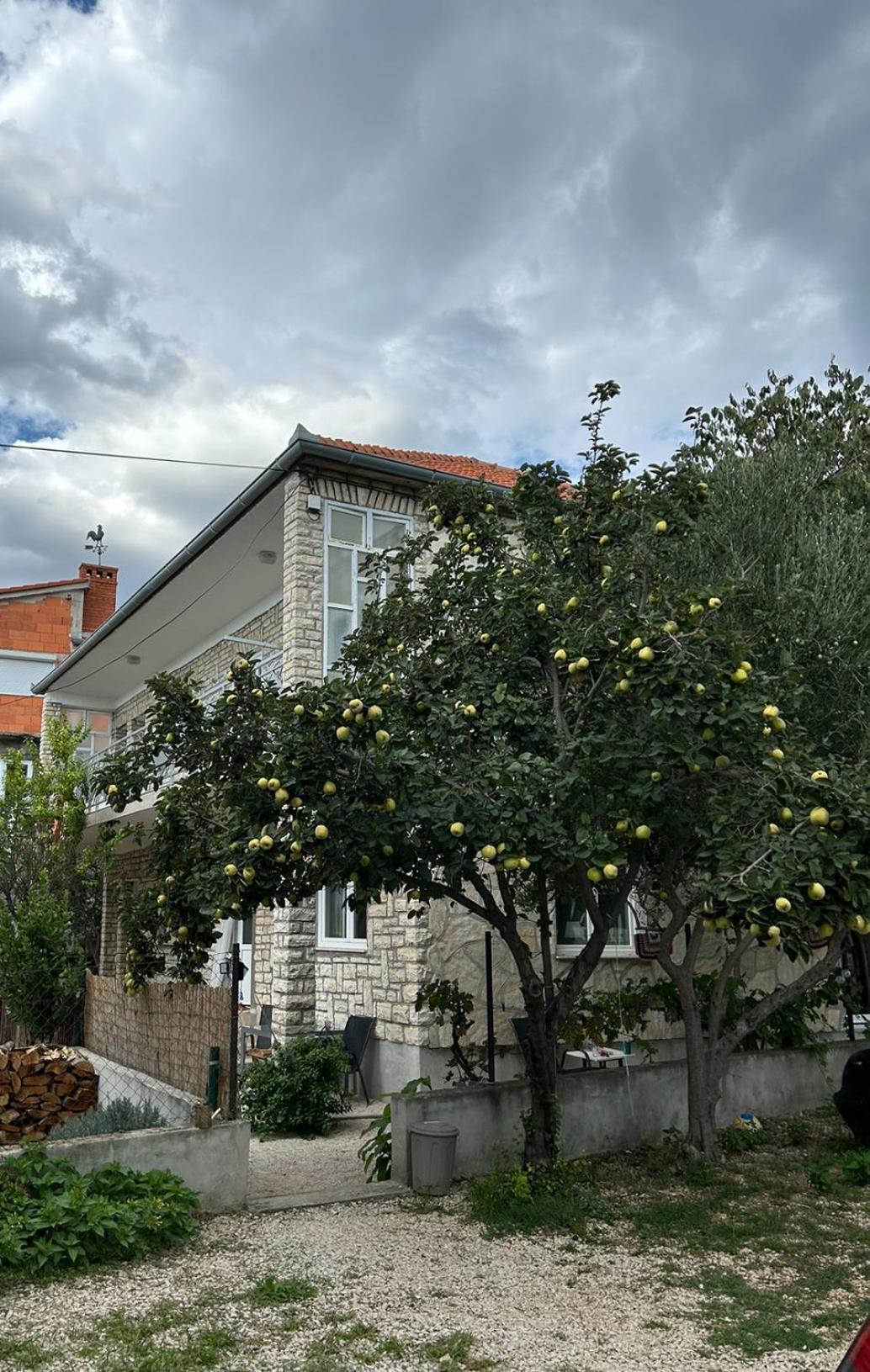 Villa Jadran Zadar Free Parking Sea View Dış mekan fotoğraf