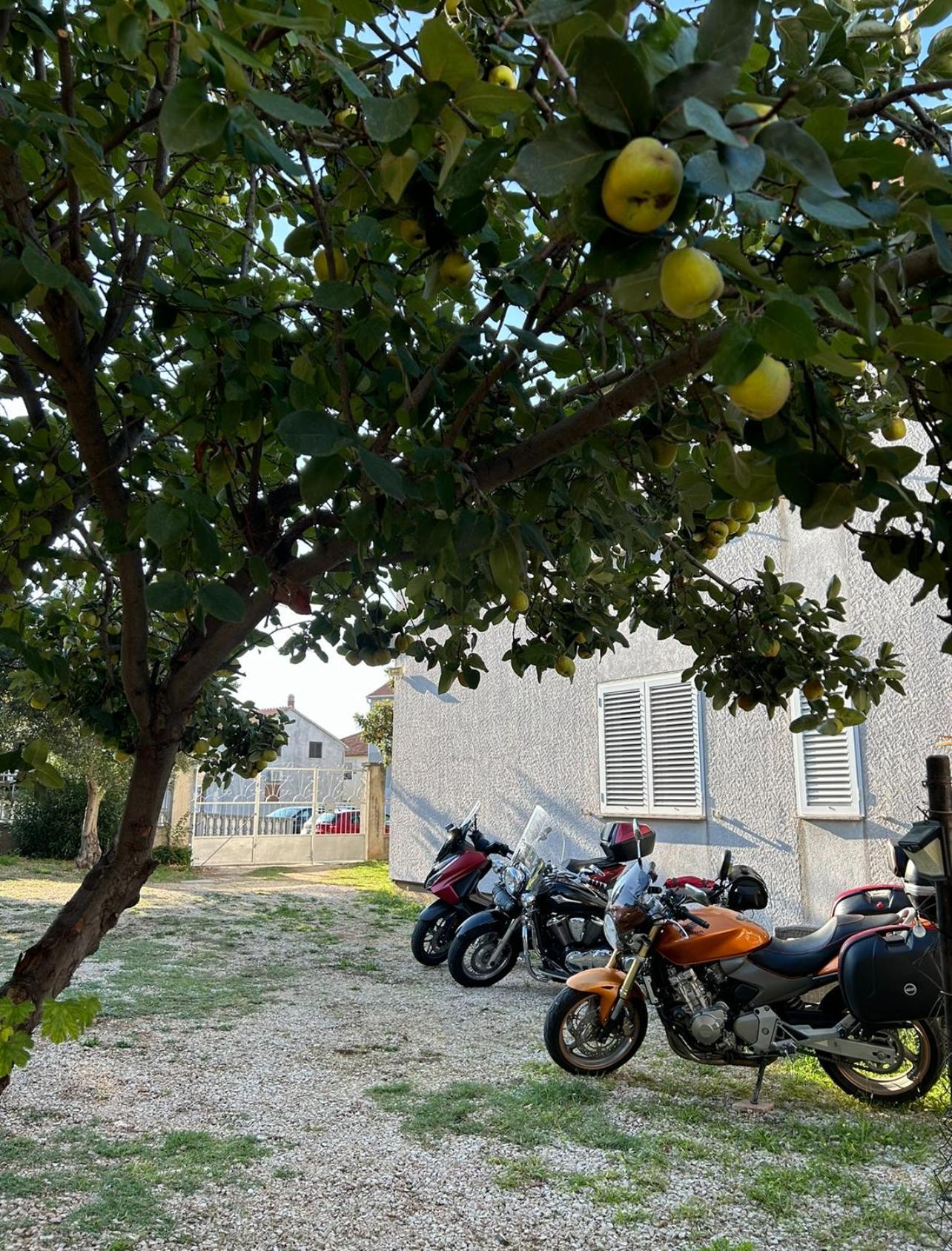 Villa Jadran Zadar Free Parking Sea View Dış mekan fotoğraf